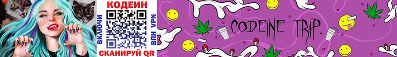 Купить  Кольчугино  Codein Purple Drank 