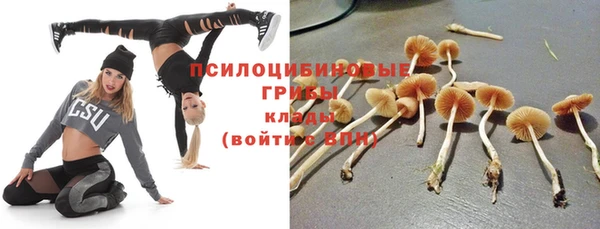 прущие крисы Вязники