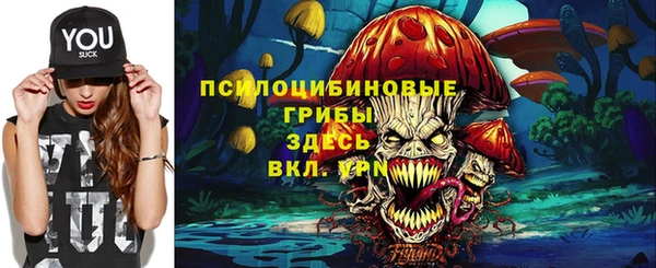 ECSTASY Вяземский