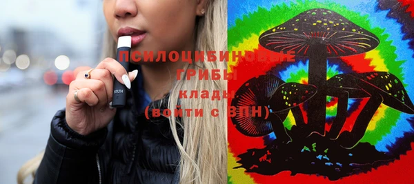 гидропоника Вязьма